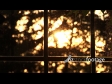 Sunset Window Pane 251